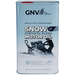 GNV Snow 2T (1 л) Моторное масло