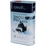 GNV Snow Pro 4T (1 л) Моторное масло
